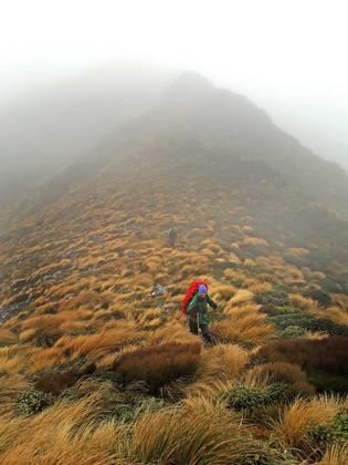 Cattle Ridge (Photo: Tereza)