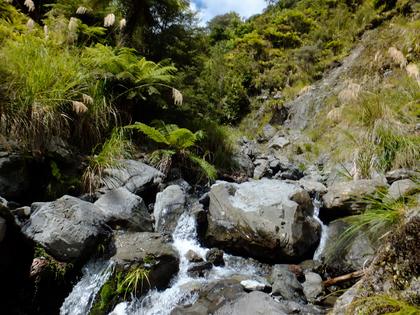 up the blackwater