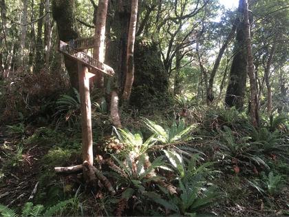 The junction of the Arete Forks Track and the track up to Table Ridge is well marked by a sign. Photo credit: Emily S.
