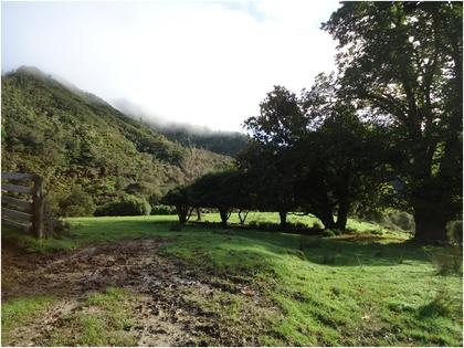 A campsite option an hour from the road end at Kapara Photo: Heather