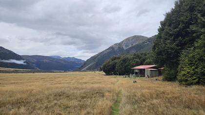 Christopher Hut with the wild horses visible behind the bush after the hut.