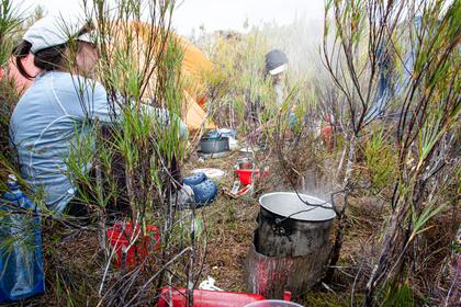 The kitchen at Cook Arm