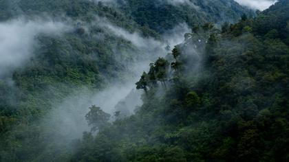 Clearing mist Sunday morning. Photo: Ian Harrison