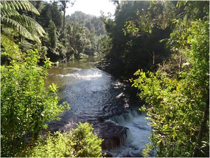 Terereohaupa Falls on the Waiototara River (10 mins South of Trains Hut) Photo: Heather