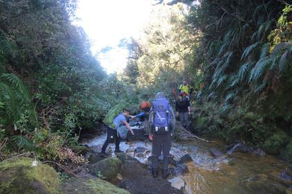 Stream Crossing