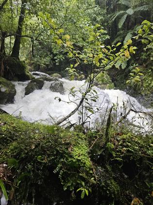 The stream crossing after all of the rain overnight