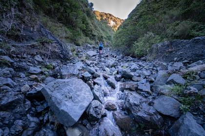Corner Creek