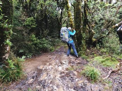 Herepai Image 4