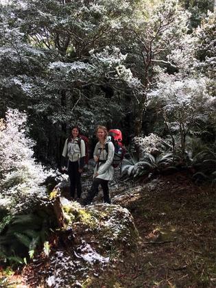 In the trees we found a winter wonderland. Photo credit: Aimee.