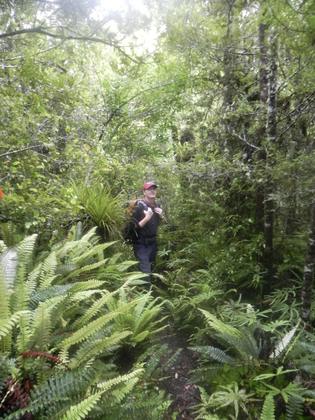 Ross, who is actually on the trail…