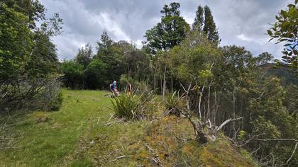 Grassy clearing at Waiotauru junction – looking towards the Waiotauru track on the left and Otaki Forks to the right [Megan].