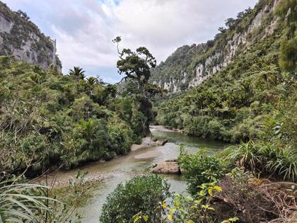 Pororari River Track – Photo credit Ashley