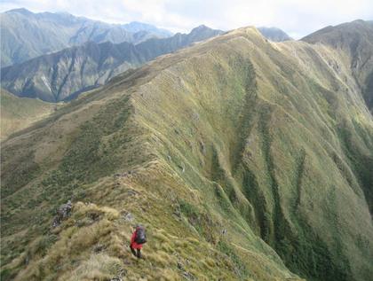Tararua Tops (Photo: Jenny Cossey)