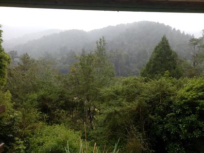 Views over bush