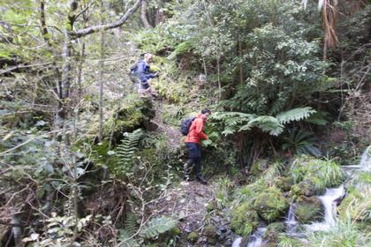 Some of the rough sidling up to Cow Saddle.