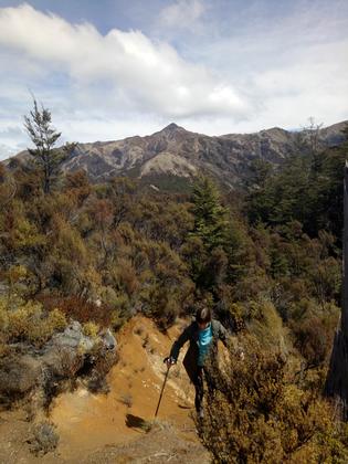 Gina on the way to Kaweka Flats