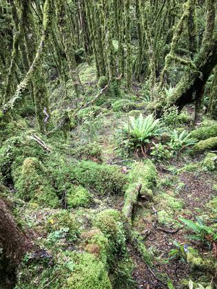 Oriwa Ridge
