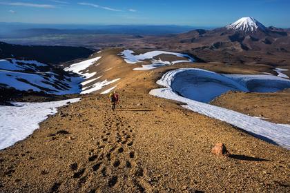 Waihohonu Ridge, Ruapehu, Ngauruhoe, Tama Lakes