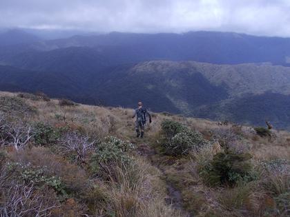 Maarten on descent resized