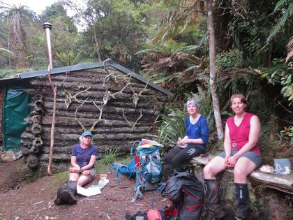 Lunch at Punga Hut