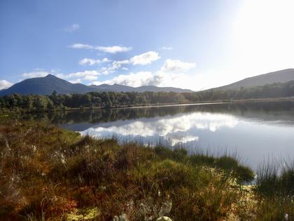 Wetland