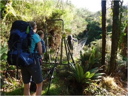 One of the swing bridges on the Trains Hut track Photo: Heather