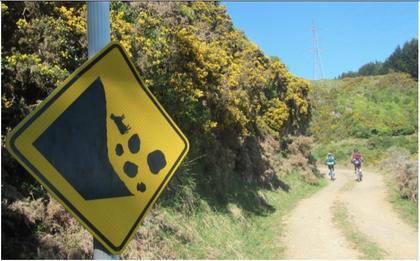 Excellent bespoke safety signs with real-life application (photo : henry fisher)