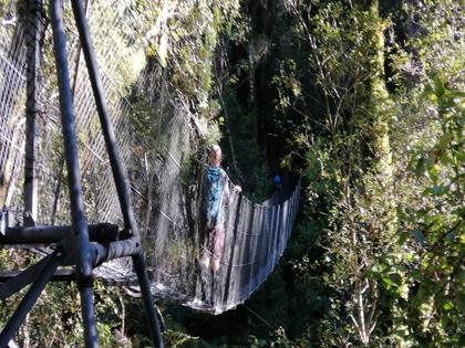 Matt walking on a swing bridge, Tararua Ranges