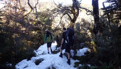 Track into Daphne