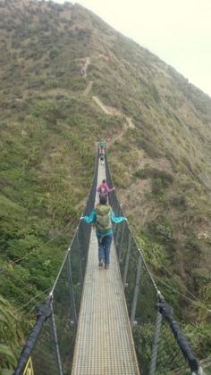 Paekakariki Escarpment Bridge