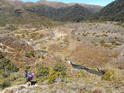 Descending to Waipakihi