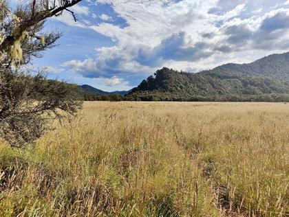 Looking towards Oamaru Hut from the river flats.