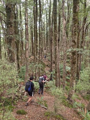 Turere Ridge