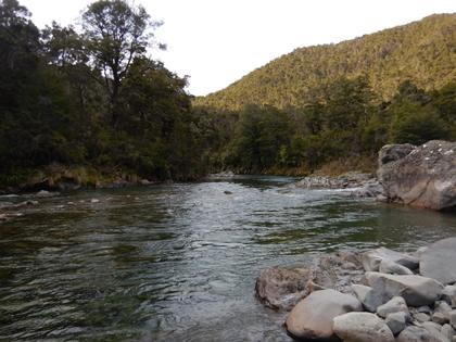 Ngaruroro river near Kiwi Mouth hut