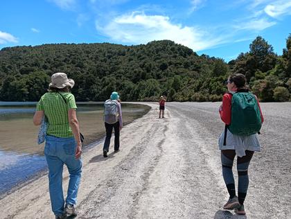 (Some of the team walking on the shore of Lake Rotopounamu (Credit: Amrita)
