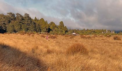 Ruahine Corner Hut