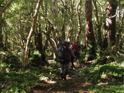 The sunny ramble back to the road end. Photo credit: Sarah