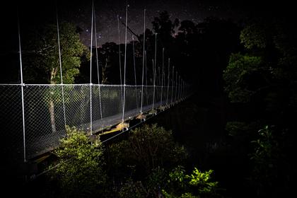 The suspension bridge that appears to lead to nothingness - Atiwhakatu River