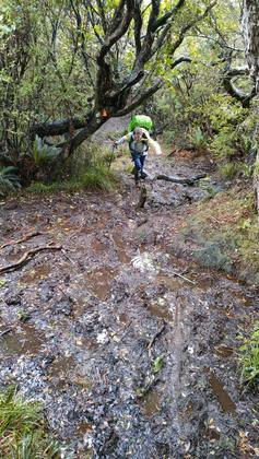 Mud
