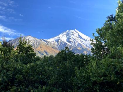 View of Taranaki through bush