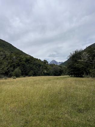 Mount Travers in the far distance (on the way up Travers Valley) [Credit: Sara]