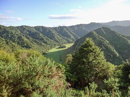 A section of the meander where Whanganui River once flowed