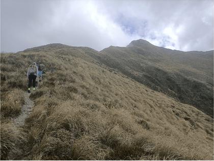 Out of the bush and climbing. Peaks on the skyline [Photo: Josh]