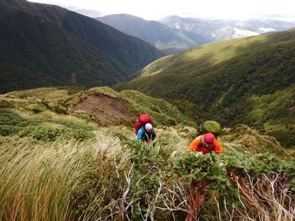 Travelling up to point 1397 from Angle Knob hut site