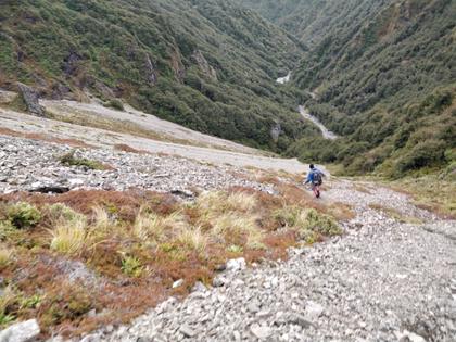 Descending the scree [Maarten]