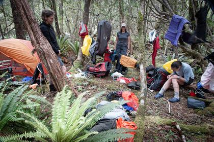 Damage control at campsite beyond Bens Bay