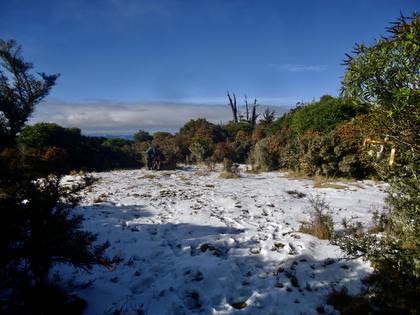 Summit