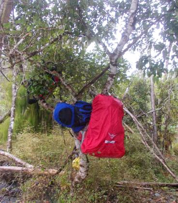 Bag tree