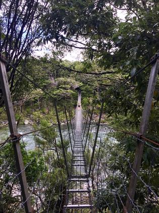 Bridge