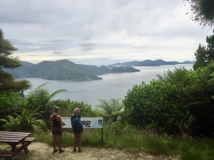 Totaranui view point